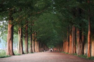 小児の脳震盪の症状が気になる時に確認すべきポイントは？