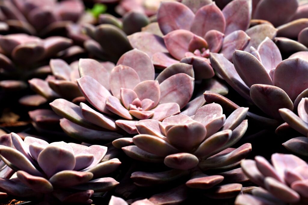 脳震盪後に必要な安静の期間はどれくらい？