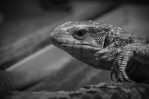 脳震盪と頭部打撲を区別する方法は？