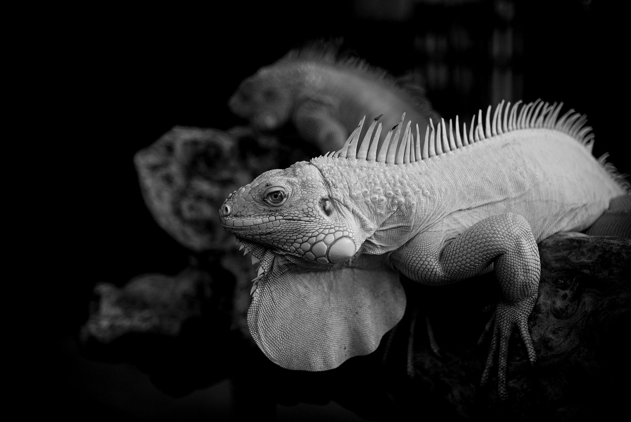 脳震盪の検査項目にはどのようなものがあるのか？