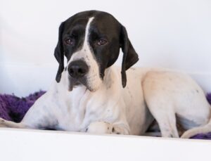 脳震盪後に学校を休む目安はどのくらい？