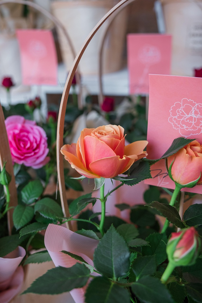 バスケでの接触による脳震盪に対する適切な対応は？