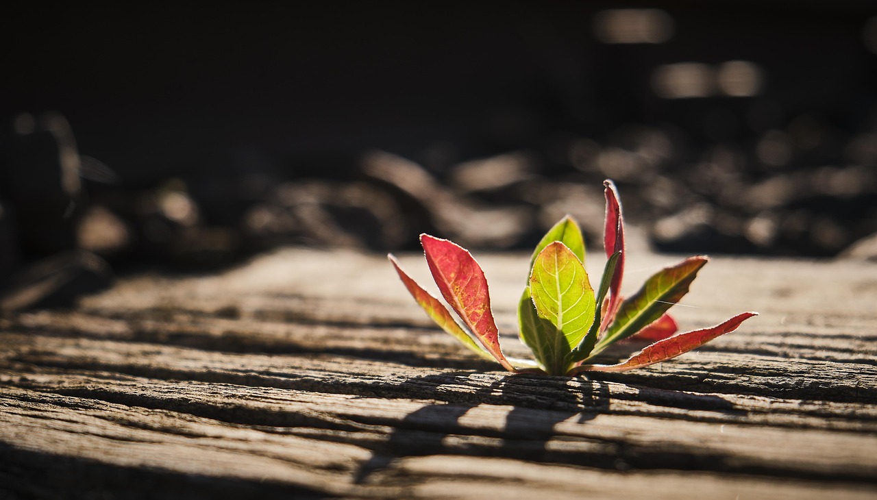 脳震盪のリハビリでは何をするべきか？