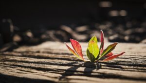 脳震盪の受診にかかる費用は保険適用されるのか？